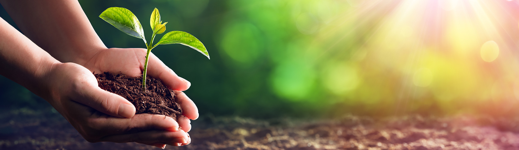 AG�콢�� (�й���½) Apple Store